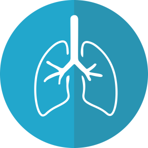 lungs-2803208_1280