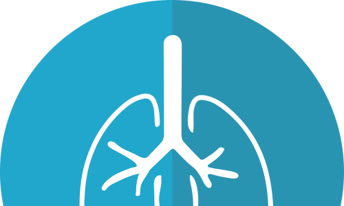 lungs-2803208_1280